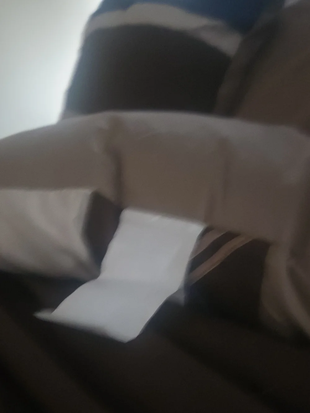 Neutal Pillow